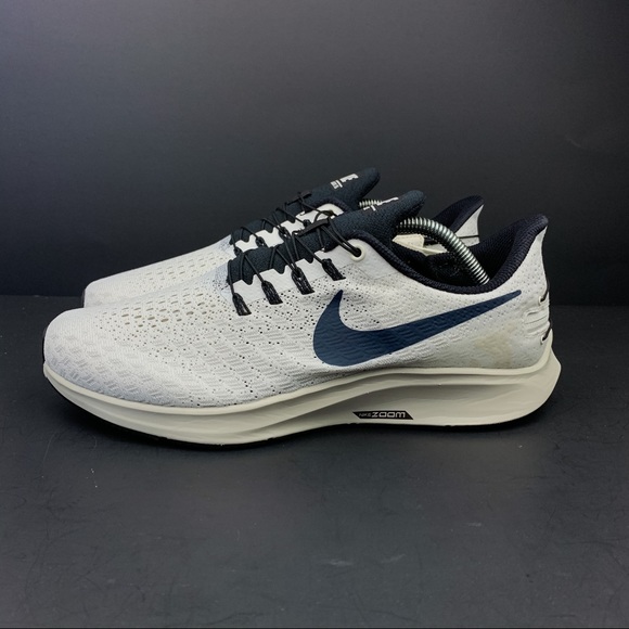 zoom pegasus 35 flyease